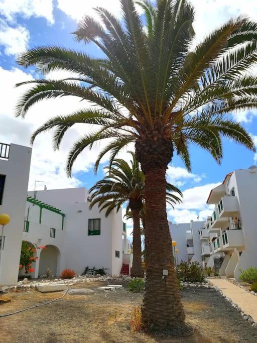 Casa Azul Leilighet Costa De Antigua Eksteriør bilde
